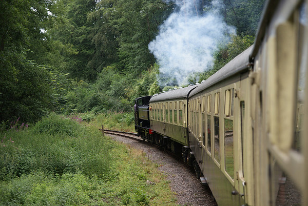 GWR Pannier 9661 heads through the Forest of Dean